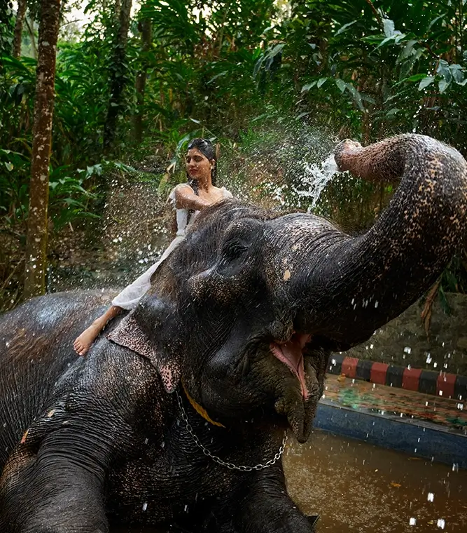 WGH Poetree, Thekkady