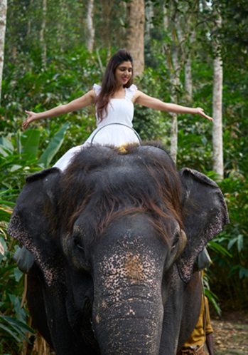 WGH Poetree, Thekkady