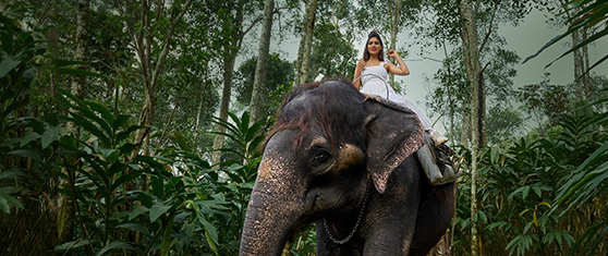 WGH Poetree, Thekkady