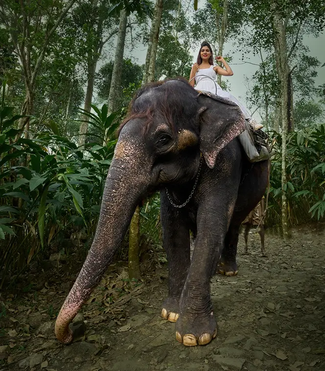 WGH Poetree, Thekkady